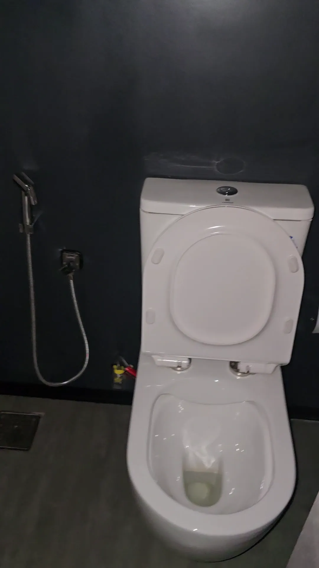 Dual Flush Toilet System
